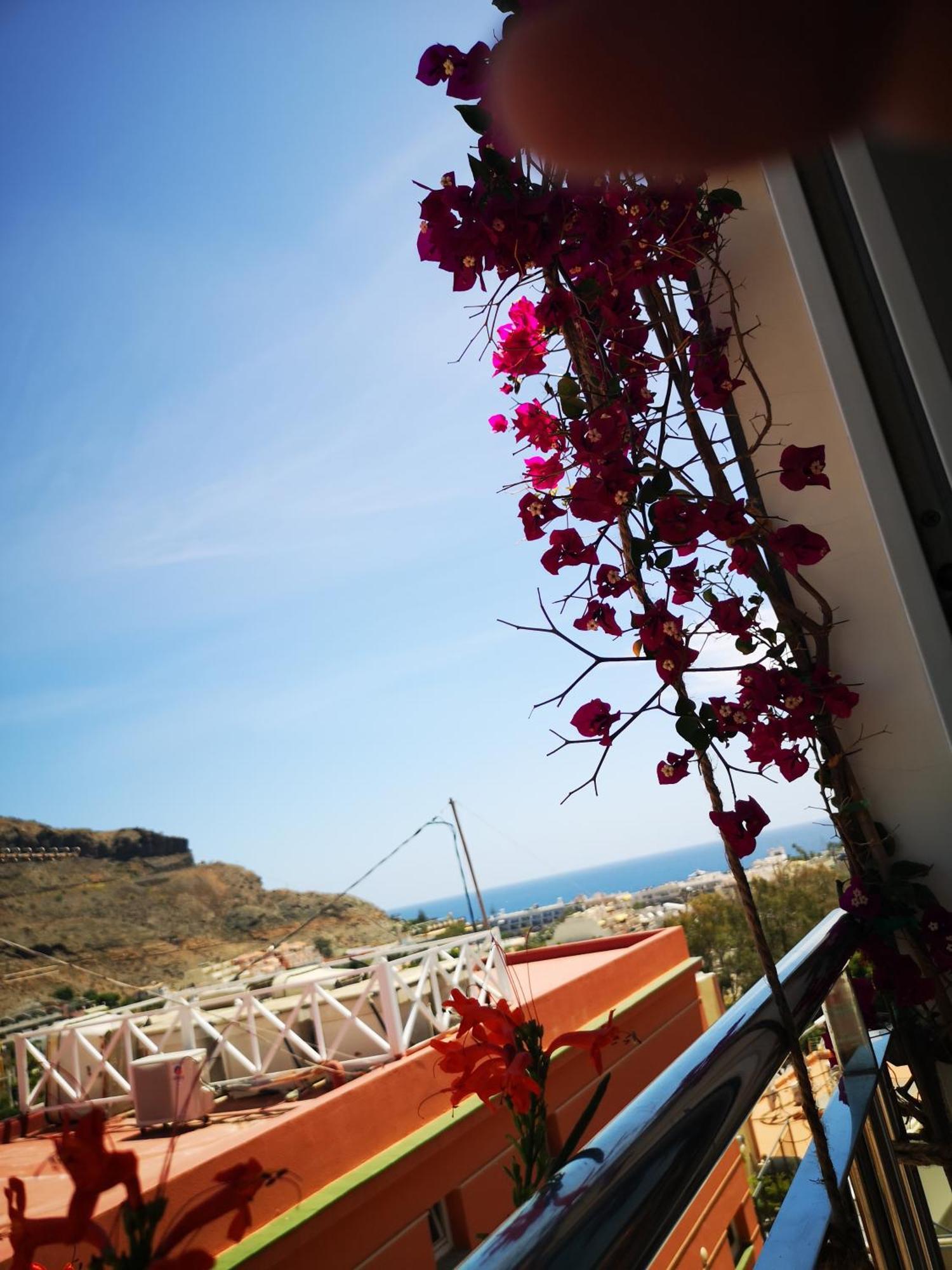 Puerto De Mogan Sonnelandアパートメント エクステリア 写真